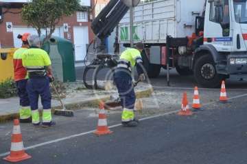 Parques y Jardines elimina en Salinetas el árbol que ensuciaba los recipientes de basura (Foto TA)